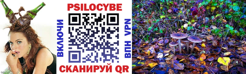 hydra ссылки  Почеп  Псилоцибиновые грибы Psilocybe 